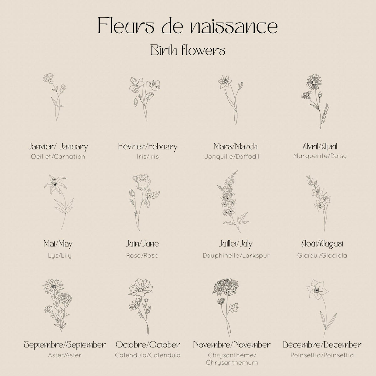 Les Fleurs - Décembre