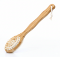 Premium Long Handle Bath Body Brush Dry