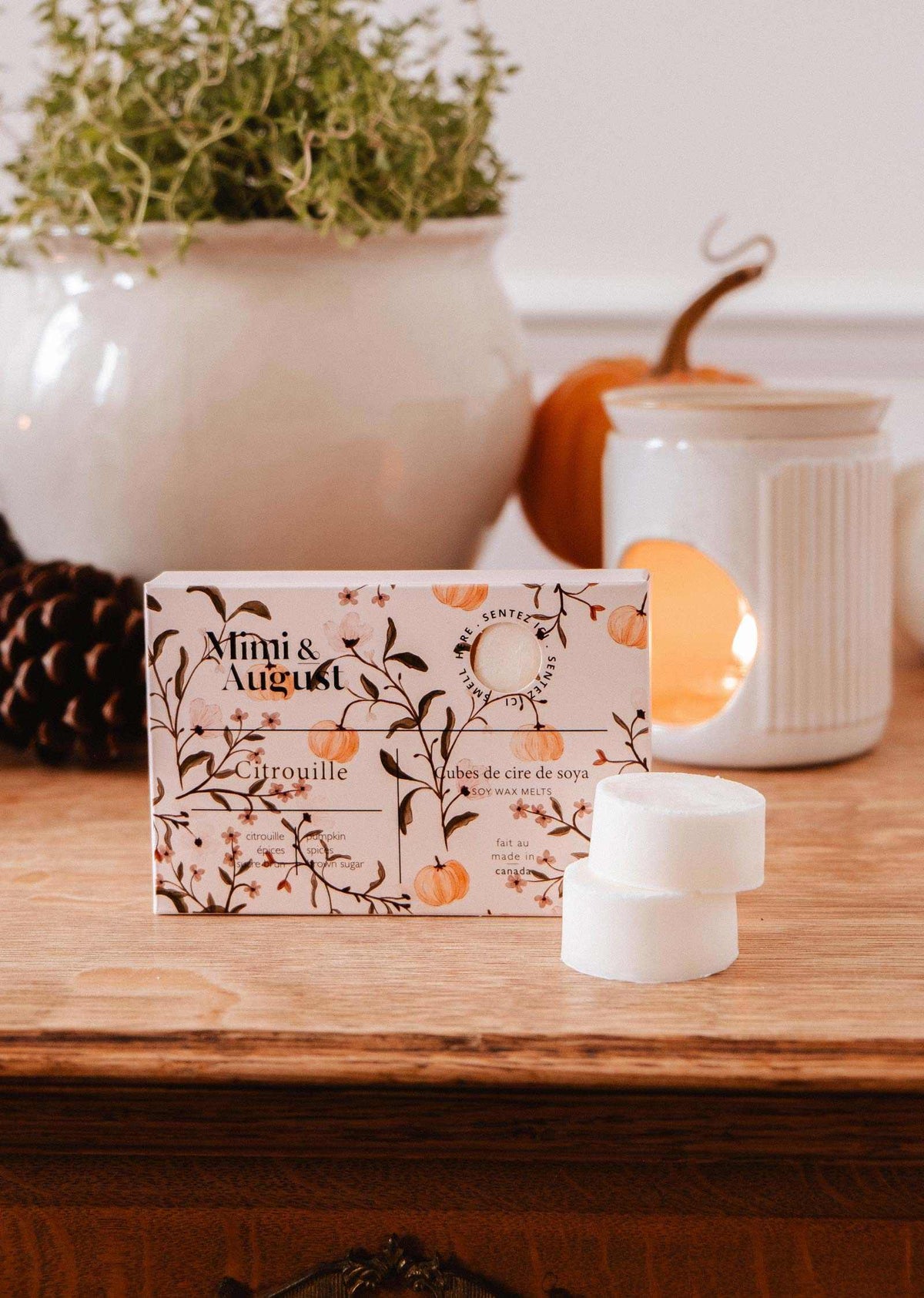 Pumpkin Soy Wax Melts