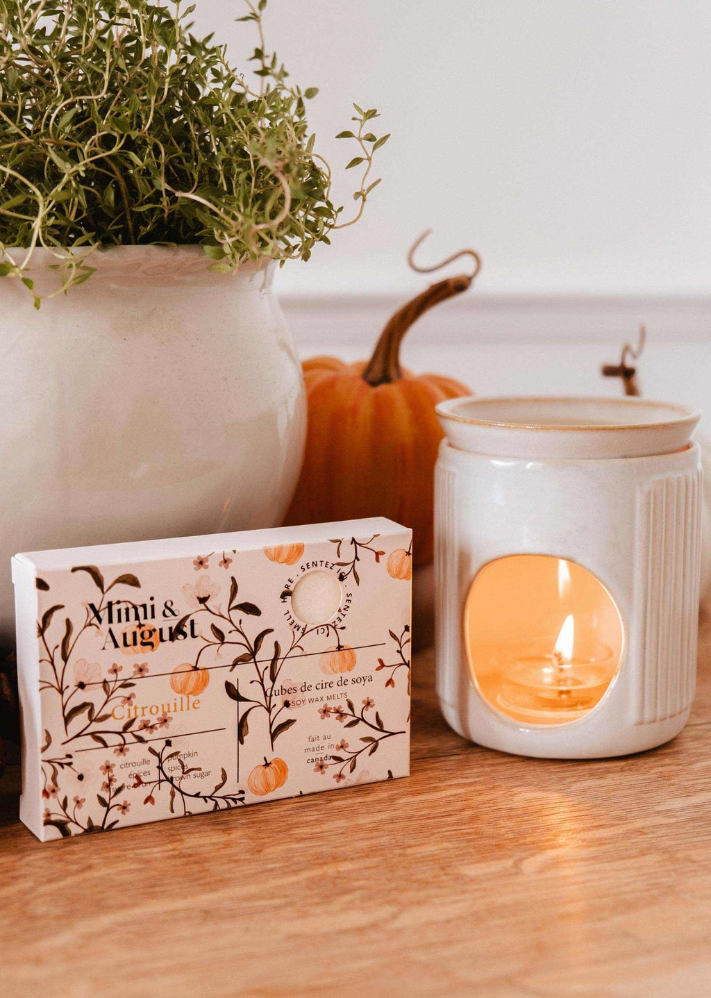 Pumpkin Soy Wax Melts